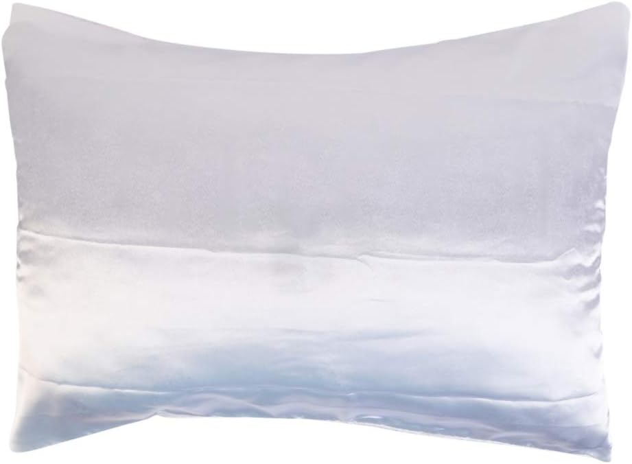 EFINNY 1 Pack 20X26 Inch Satin Pillowcase Pillowcase Covers with Zpper Pillowcases Standard Pillowcase Bedroom Livingroom