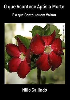 Livro O Que Acontece Após A Morte