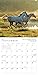 The Spirited Horse 2017 Wall Calendar
