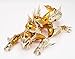 God Cloth Ryumunadeth Casa [Toy] by Bandai