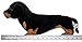 VIAHART Dierdrik The Dachshund - New and Improved Design - 16 Inch Large Dachshund Dog Stuffed Animal Plush - by Tiger Tale Toys