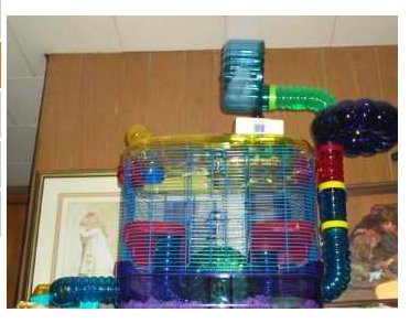 crittertrail accessory kit