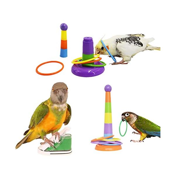 parrot foot toys