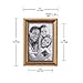 Malden International Designs 2177-46 Classic Wood Picture Frame,4x6, Gold