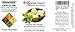 Essential Depot Shea Butter - Grade A - 16 oz - 1 lb - Organic - Unrefined - In Resealable Safety Sealed HDPE Jar