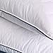 DOWNIGHT Set of 2, Down and Feather Pillow Double Layered Fabric Bed Pillow, 100% Cotton Fabric, Standard/Queen