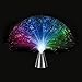 Multicolor Fiber Optic Lamp Light Holiday Wedding Centerpiece Fiberoptic LED New