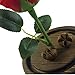 Emyln Beauty and The Beast Rose, Enchanted Rose Flower with 10 LED USB Lights in Glass Dome on a Wooden Base for Lover, Weddings, Anniversaries, (Red) 