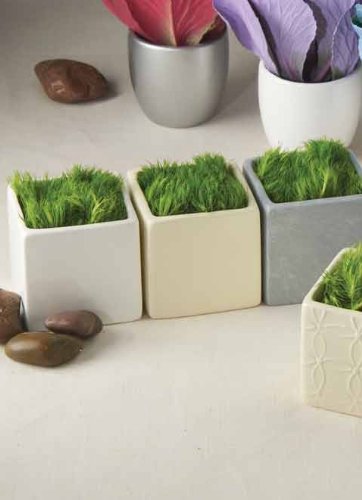 Ivy Lane Design Smooth Square Flower Pots, White, Set of 5