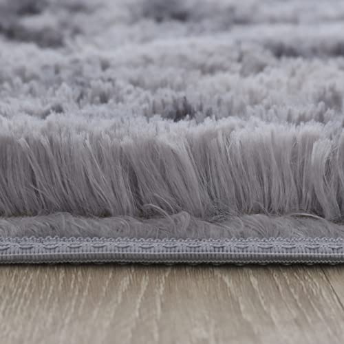 4X6 Feet Dark Gray Modern Area Rugs for Bedroom Living Room Ultra Soft Fluffy Throw Carpets for Girls Boys Kids Room Shaggy Fluffy Rugs (4X6Feet, Dark Gray)