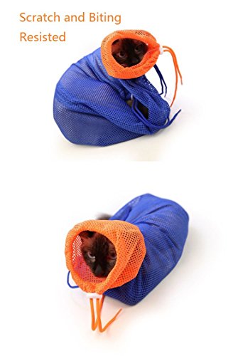 6 CatYou+Grooming+Polyester+Injecting+Examining