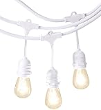 AmazonBasics PL200-48-WHT Patio String Light, 48 Feet, White