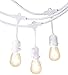 Amazon Basics Outdoor Patio String Lights, S14 Bulb, 48 Feet, White