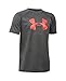 Under Armour UA Tech™ Big Logo Youth X-Large Carbon Heather
