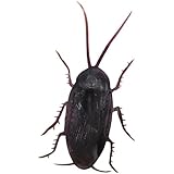 ほいほいダッシュごきぶりくん