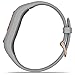 Garmin vivosmart 4 (Gray/Rose Gold, Small/Medium) Smart Activity Tracker Power Bundle | +PlayBetter Portable Charger | Fitness Activity Tracker | Heart Rate