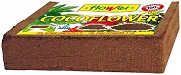 Flower 80142 80142-Coco, 70 l, No Aplica, 30x30x10 cm: Amazon.es ...