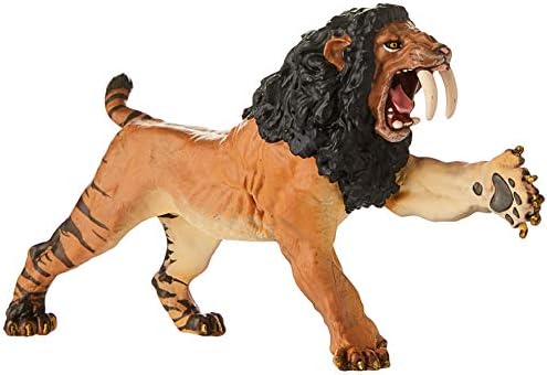 dog friendly holiday lets