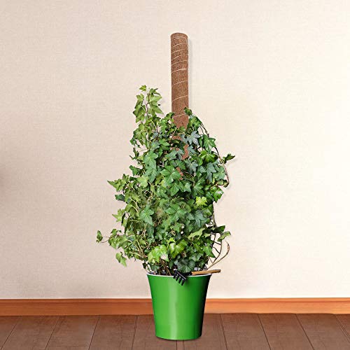 image for GROWNEER 36 Inches Coir Totem Pole with 15 Pcs Plant Labels, Coir Moss