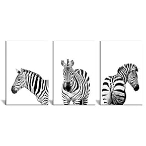 3 Panel Canvas Wall Art - Close Up of Zebras in Black and White - Giclee Print Gallery Wrap Modern Home Art Ready to Hang - 16"x24" x 3 Panels