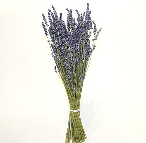 image for Aodicon Natural Lavender Dried Flower Bundles - 200 Stems - Can Be Use