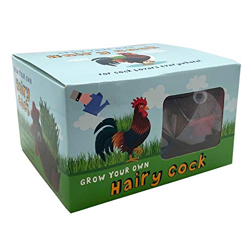 Diabolical DP1256 Grow Your Own Hairy Cock - Funny Gifts for Women, Gifts for Girlfriend, Birthday Presents for Her, Garden Ornament, Weird Gifts, Cool Stuff Under 10 Pounds, Grow Your Own Kits