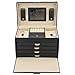 Black Jewelry Box Case Lockable Mirrored Storage Organizer Faux Leather and Beige Velvet