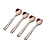 Alessi AMMI08/7GP set met 4 theelepels