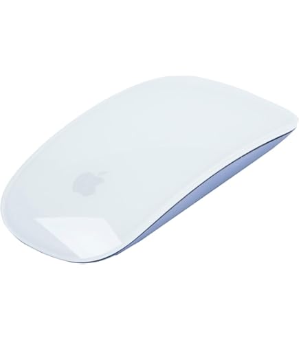 Amazon.com: Apple Magic Mouse ​​​​​​​ (Wireless, Rechargable