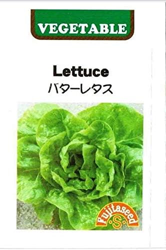 Amazon 藤田種子 レタス バターレタス 野菜