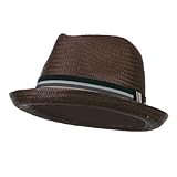 Men's Paper Woven Straw Fedora - Brown