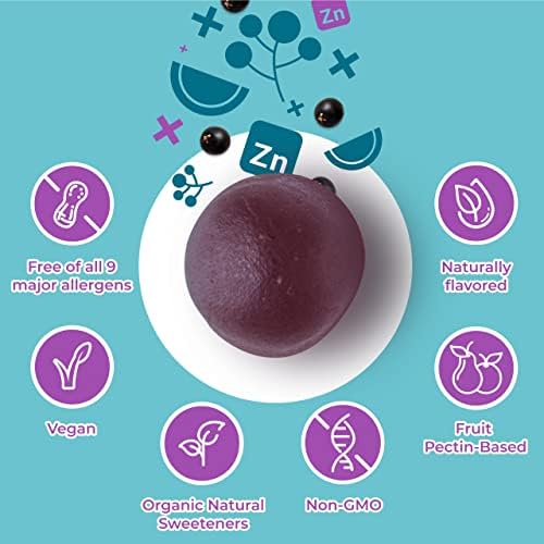 HYLAND’S ORGANIC ELDERBERRY PLUS GUMMIES, ORGANIC BLACK ELDERBERRY WITH ZINC AND VITAMIN C, IMMUNE SUPPORT SUPPLEMENT FOR ADULTS, 60 VEGAN GUMMIES (30 DAYS)
