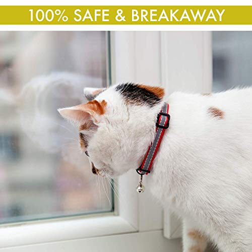 Leather Cat Collar Reflective, Set of 3, Plus Lucky Charm Pendant, Breakaway with Bell, Solid & Safe Collars for Cats, Nylon, Kitty Collars, Pet Collar, Free Replacement
