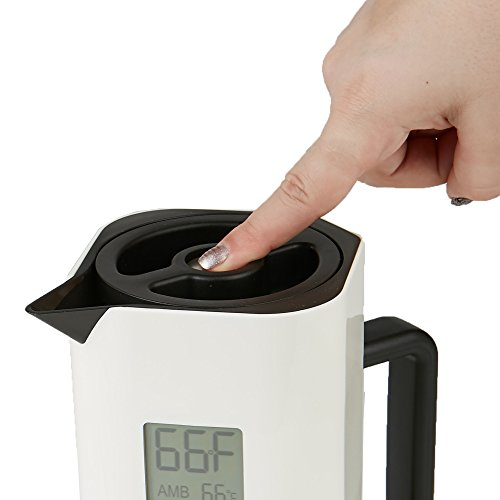 image for Mind Reader TEMPITCH-WHT Double Walled Thermal Carafe, Holds up to 4 C