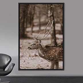 signwin Framed Canvas Wall Art Deer Animals Deer...