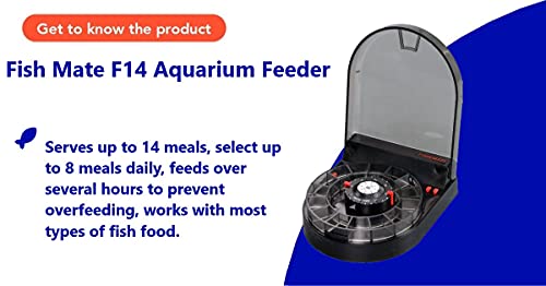 f14 fish feeder