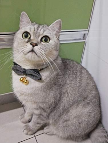 年国内正規総代理店アイテム のネクタイ 家電 カメラ 食品 飲料 お酒 リボン首飾り 犬首輪 産業 研究開発用品 鈴付き B07rmc8h45 100 品質保証 可愛いい 猫首輪 Qoobe 新作製品 世界最高品質人気 正規品送料無料 おしゃれ ギフト ペット首輪 激安超特価 小型犬
