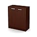 South Shore Axess Small 2-Door Storage Cabinet, Royal Cherry