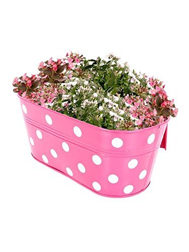 BLESSY Oval Shape Dotted Metal Railing /Hanging Planter/Container/Pot for Home/ Balcony Garden Set of 1 (Pink)