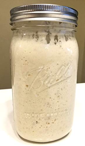 Wild Wheat Sourdough Starter Dehydrated