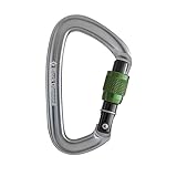Black Diamond Positron Screwgate Locking Carabiner