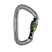 Black Diamond Positron Screwgate Carabiner