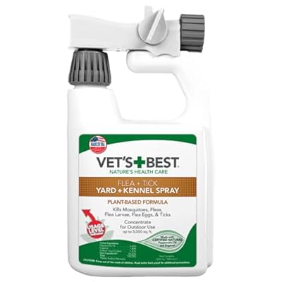 dog bites antibiotics