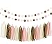 Ella Mint 20PCS Tissue Decoration Kit | Pretty Party Supplies: Pom Flowers, Garland & Tassels | Pastel Pink, Cream & Gold Polka Dot | Perfect poms for baby shower or girls first birthday!