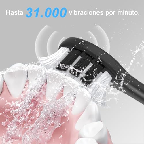 Sonic Electric Toothbrush for Adults, Rechargeable 240 Days Battery Life with 2500 mAh, 8 Replacement Heads, 3 Cleaning Modes and IPX7 Waterproof, Black