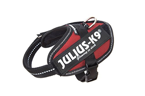 Julius-K9 16IDC-BR-B2 IDC Power Harness, Size: Baby 2 (33-45cm/13-17.5"), Bordeaux