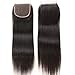 ZXZ Brazilian Straight Human Hair 10 Inch Lace Closure 4x4 Free Part Swiss Lace Closure 130% Density Natural Color (10, ST)