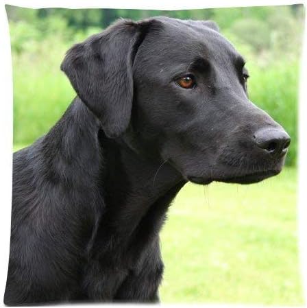 Amazon Com Newhomestyle Cute Dog Kids Pillow Case Nursery Cafe Bar Decorative Cushion Cover Case Polyester Throw Pillow Cover Two Sides Home Kitchen