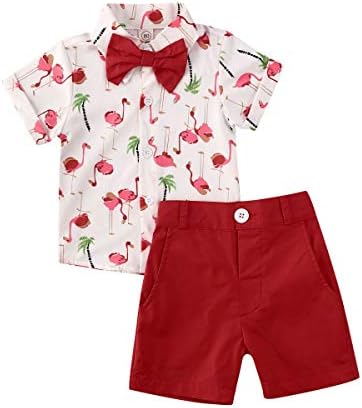 子供 制服 最新号掲載アイテム 小学生 男の子 上下セット 半袖 夏服 かわいい ボタンダウンシャツとショートパンツ 紳士服 フォーマル