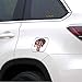 Punisher Skull Decal American Flag for Trucks 6